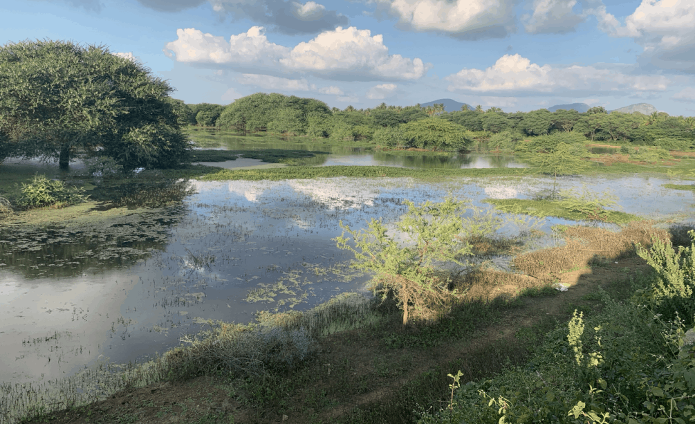 A lake in Karnataka, India that is protected thanks to the work of ESG
