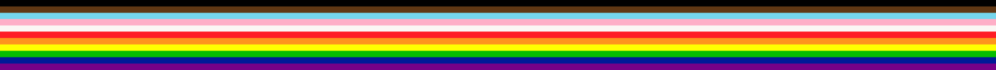 LGBTQ pride progress flag stripes - LGBT rights